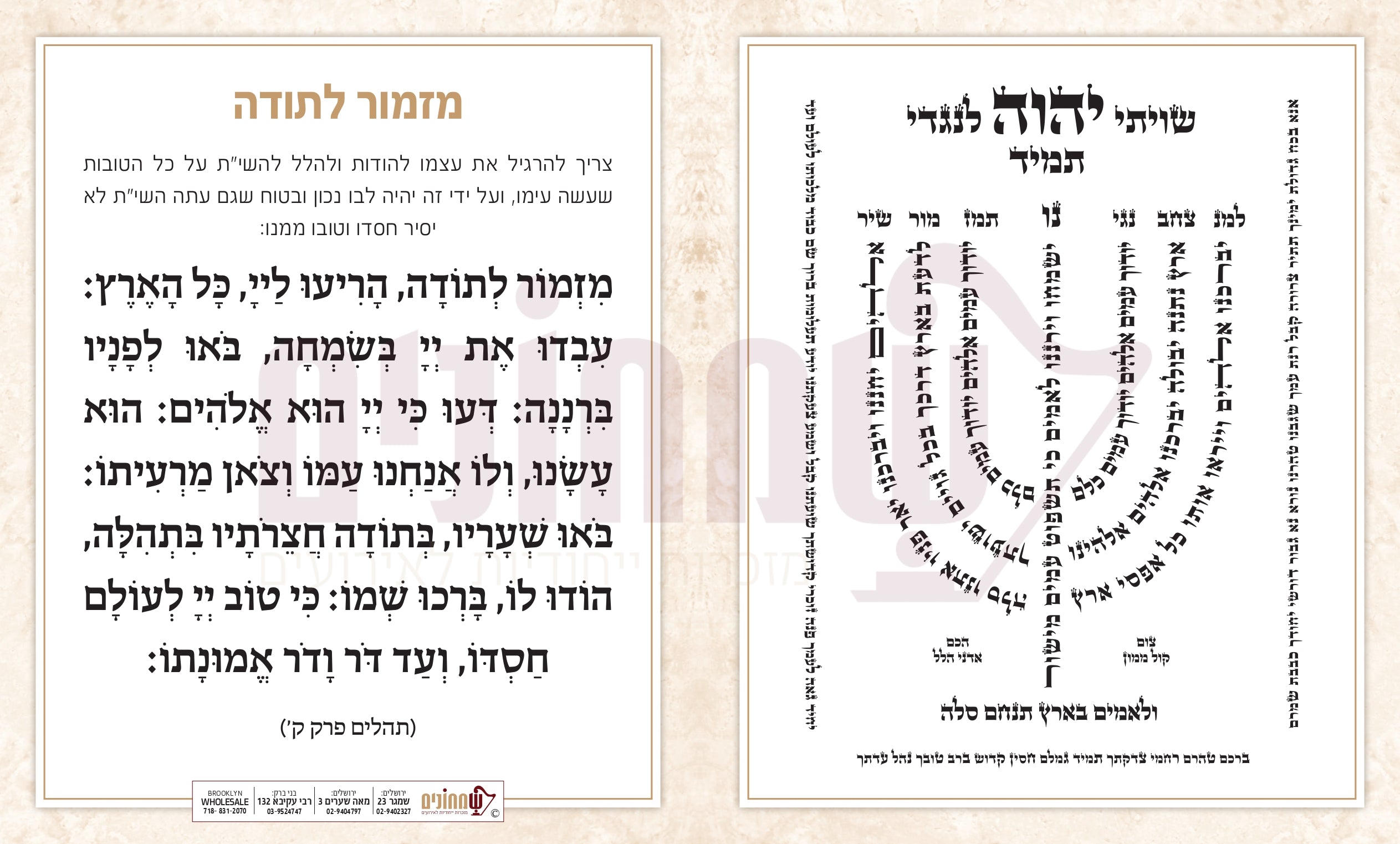 Leather Hard Cover Mizmor Lesodah