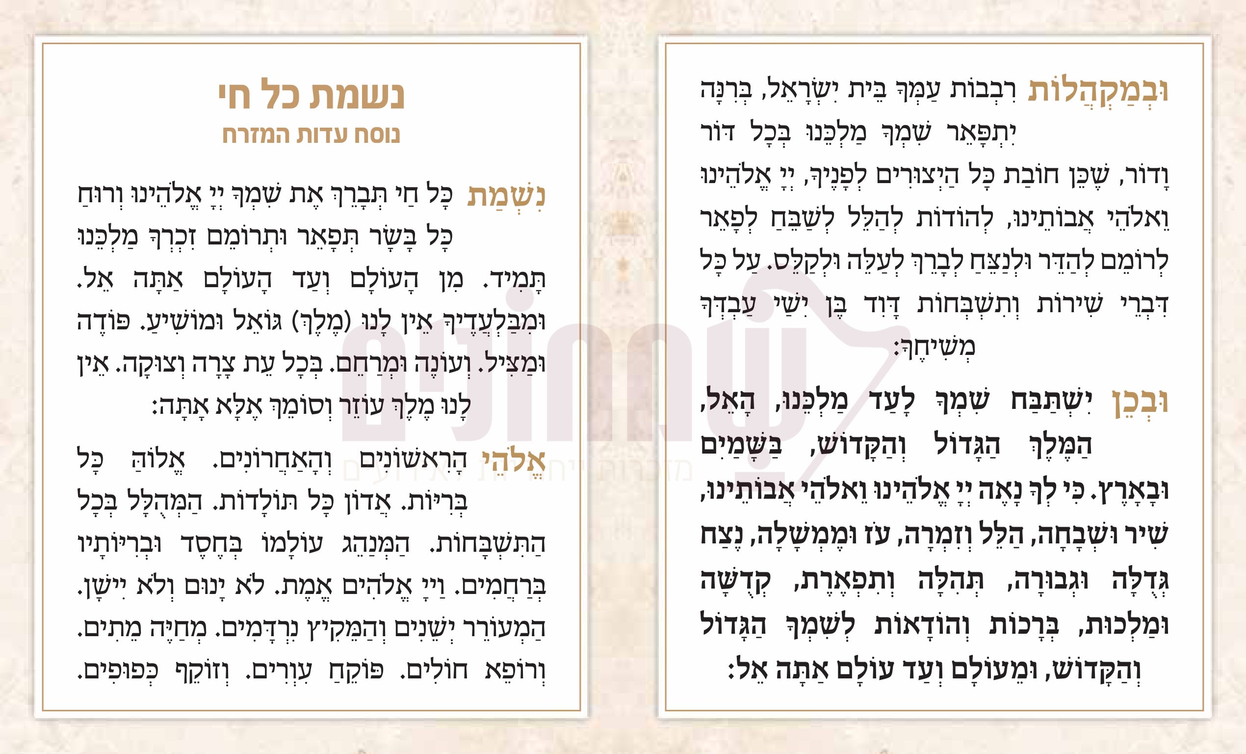 Leather Hard Cover  Nishmas Kol Chai