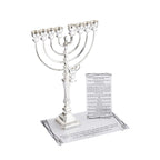 Abstract Frosted Chanukah Tray