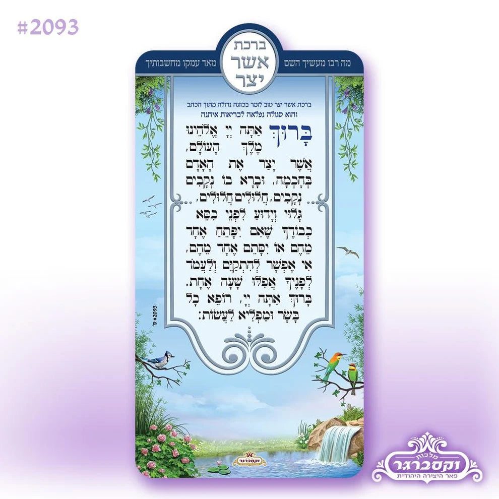 Asher Yatzer- Magnet