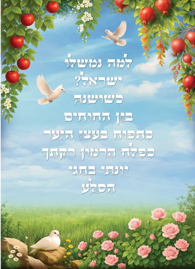 "Yonati B'Chagvei HaSela" Poster