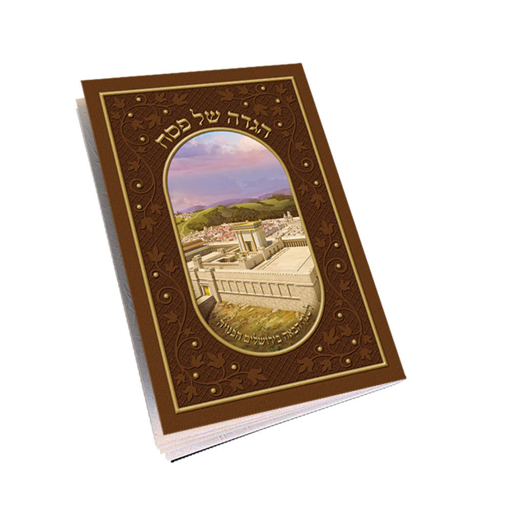 Illustrated Haggadah