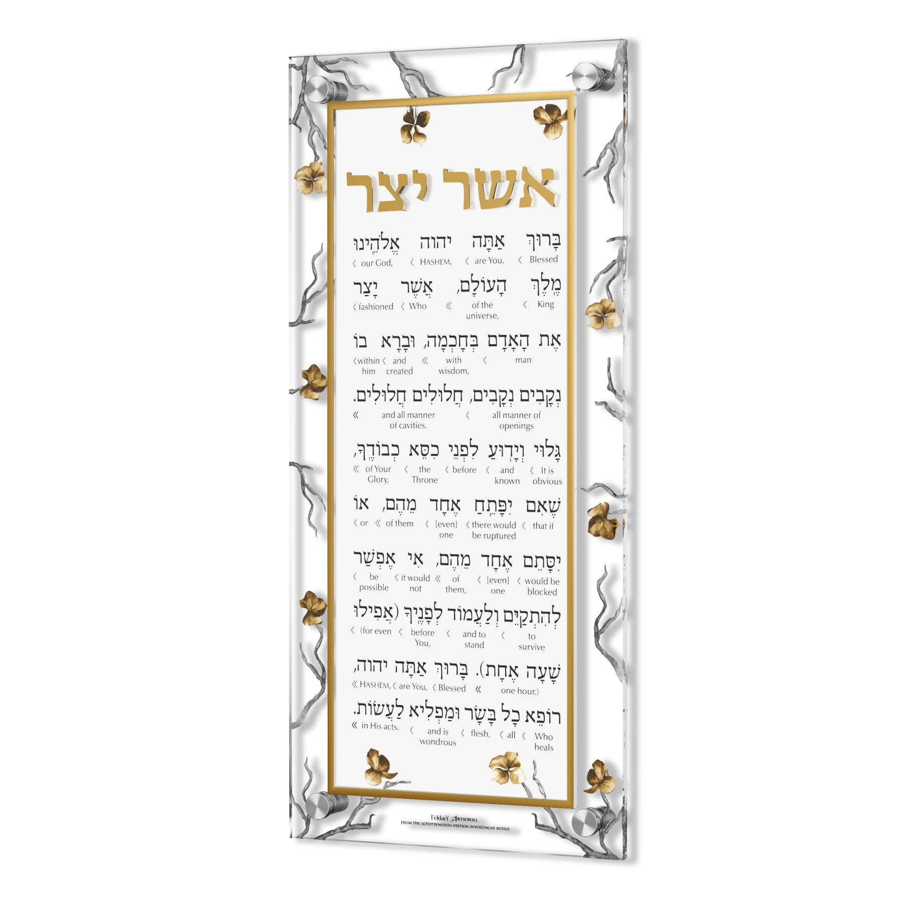 Artscroll Golden Branch Asher Yatzar