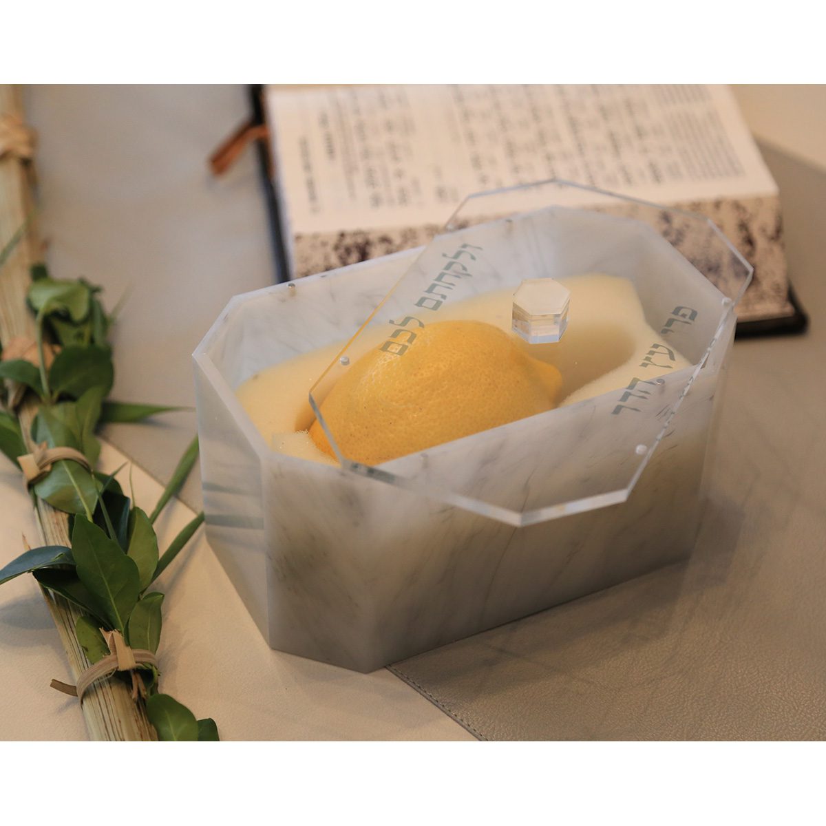 Esrog Box