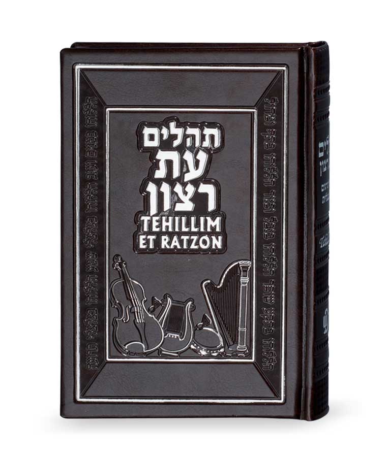 Tehillim with English