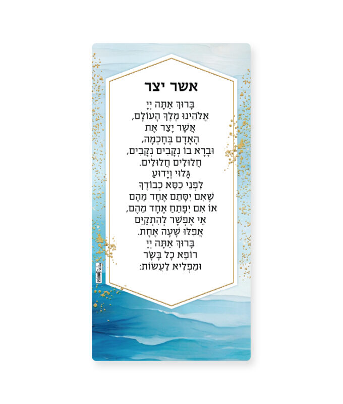 Asher Yatzar Magnet