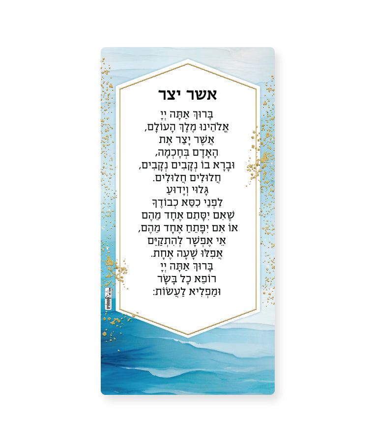Asher Yatzar Magnet