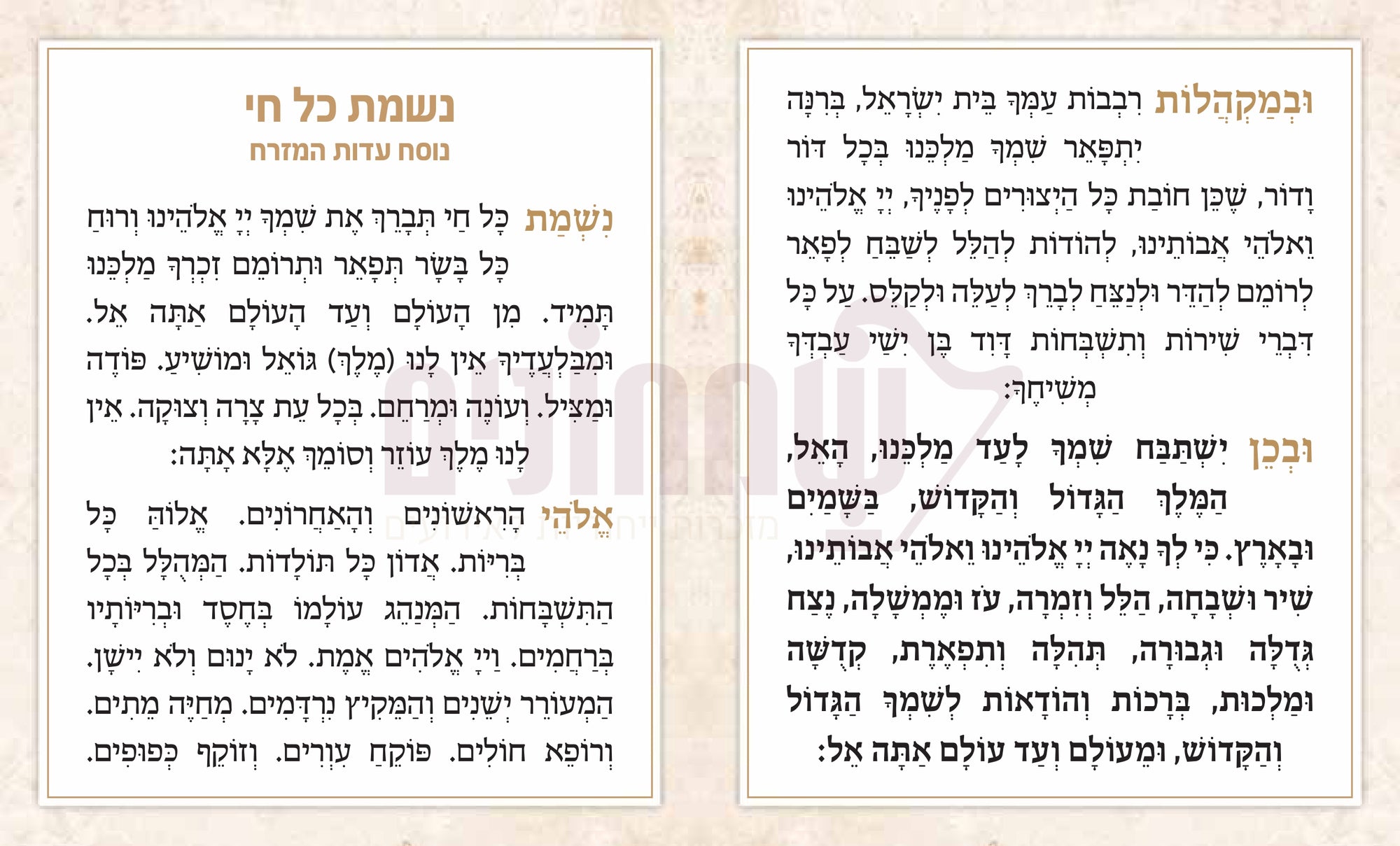Leather Hard Cover  Nishmas Kol Chai